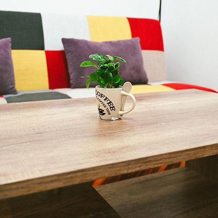 Cozy apartment Braszów Zewnętrze zdjęcie