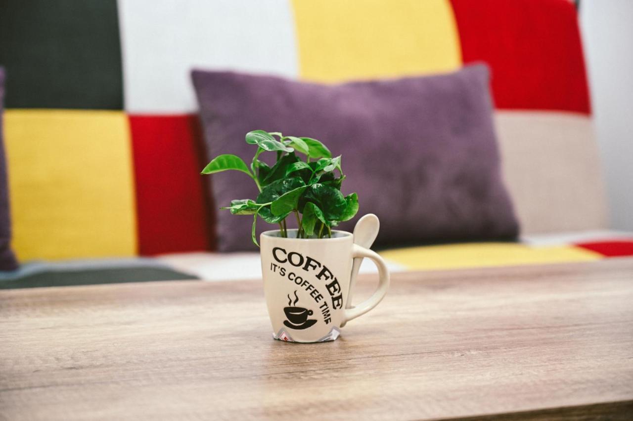 Cozy apartment Braszów Zewnętrze zdjęcie